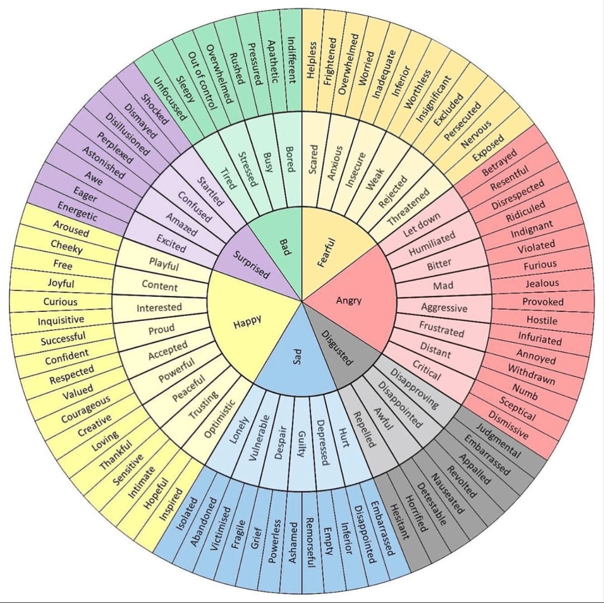 Emotions and Feelings