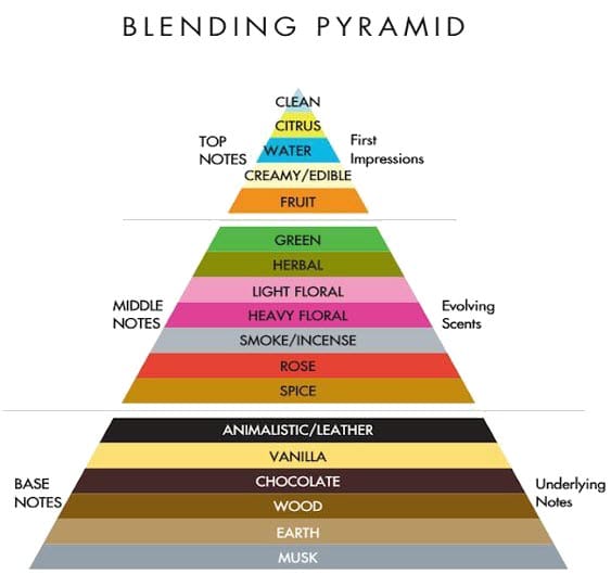Fragrance blending pyramid diagram organizing scents into top, middle, and base notes